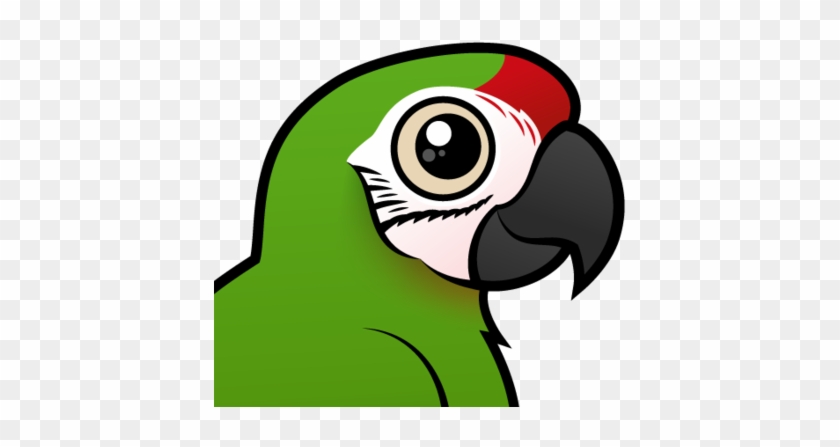About The Military Macaw - Blue Throated Macaw Cartoon Clip #1322302