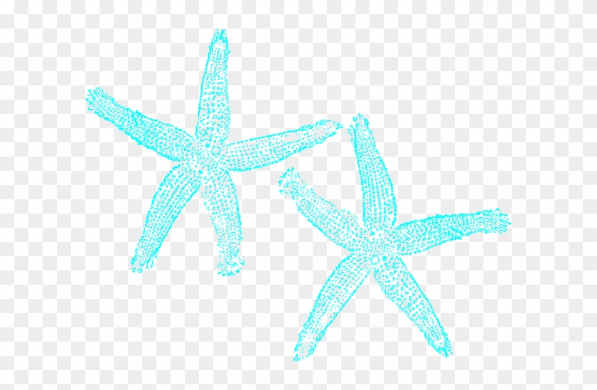 Starfish Clipart - Starfish #1322682