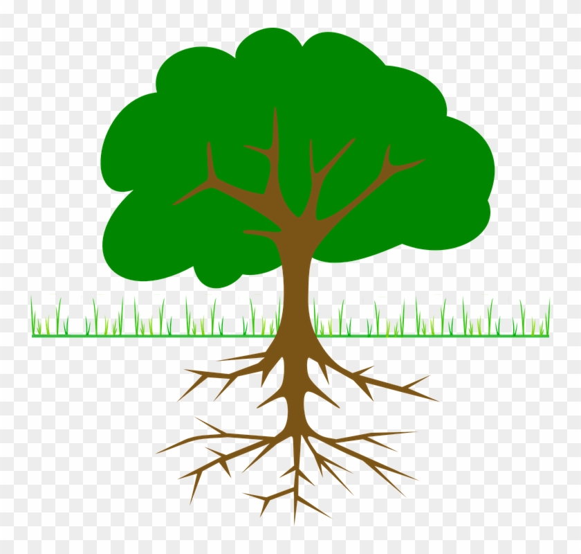 Roots Clipart Tall Tree Stump - Tree Clip Art #1322717