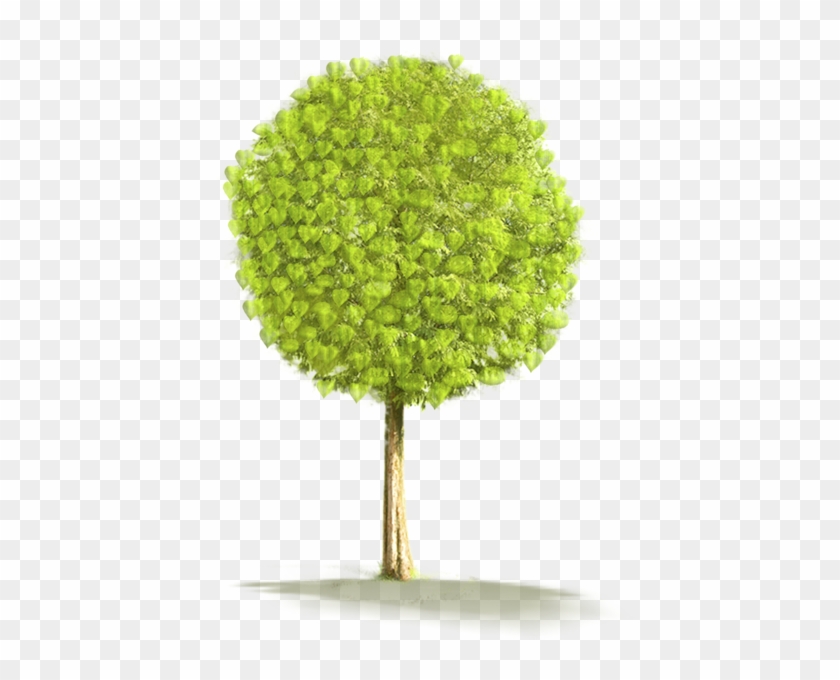 Large Tree Png Clipart - Animated Small Tree Png #1322720