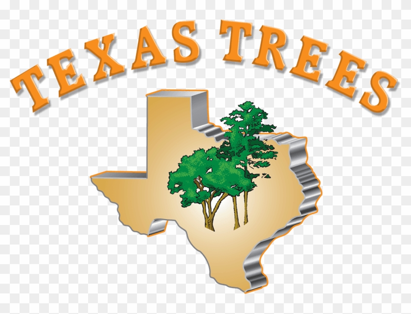 Tree Service San Antonio, Tx - Texas #1322748