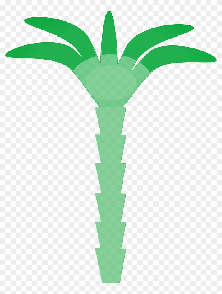 Mb Image/png - Palm Tree Clip Art #1322847