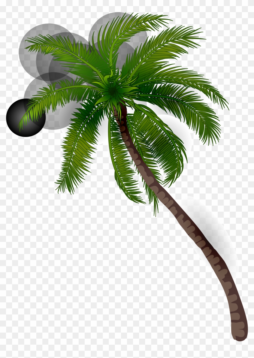 La Palma De Coco Ilustración - Png De Palmeras Verdes #1322856