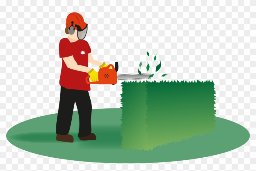 Hedge Cutting - Trim Hedge Clipart #1322932