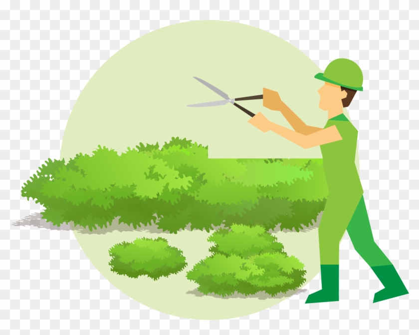 Hedge Trimming - Illustration #1322938