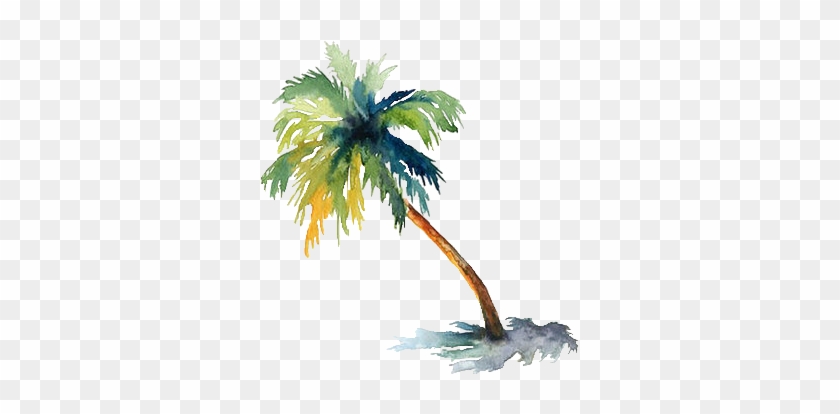 Instagramcom - Palm Tree Watercolor Png #1323007
