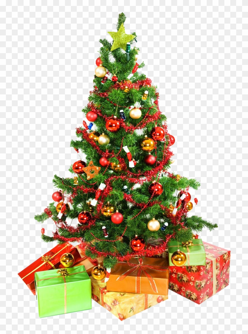 Xmas Tree Png 12 By Iamszissz - Christmas Tree For Whatsapp Dp #1323036