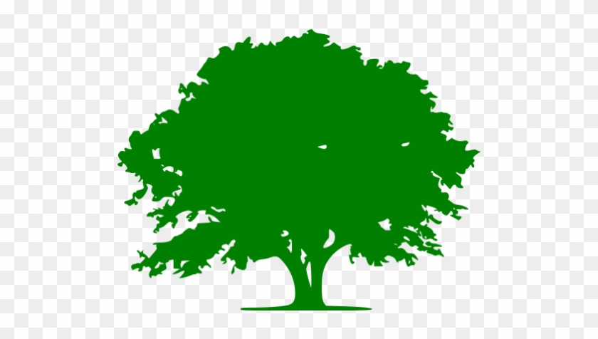 Oak Tree Icon Free #1323043