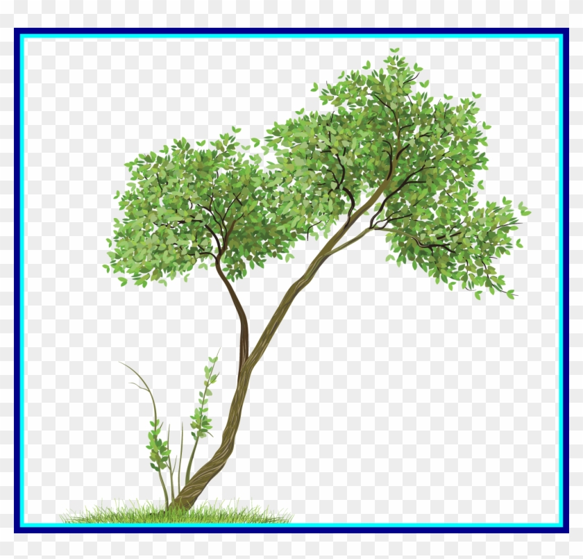 Appealing Transparent Tree Png Clipart Print Image - Transparent Tree #1323255