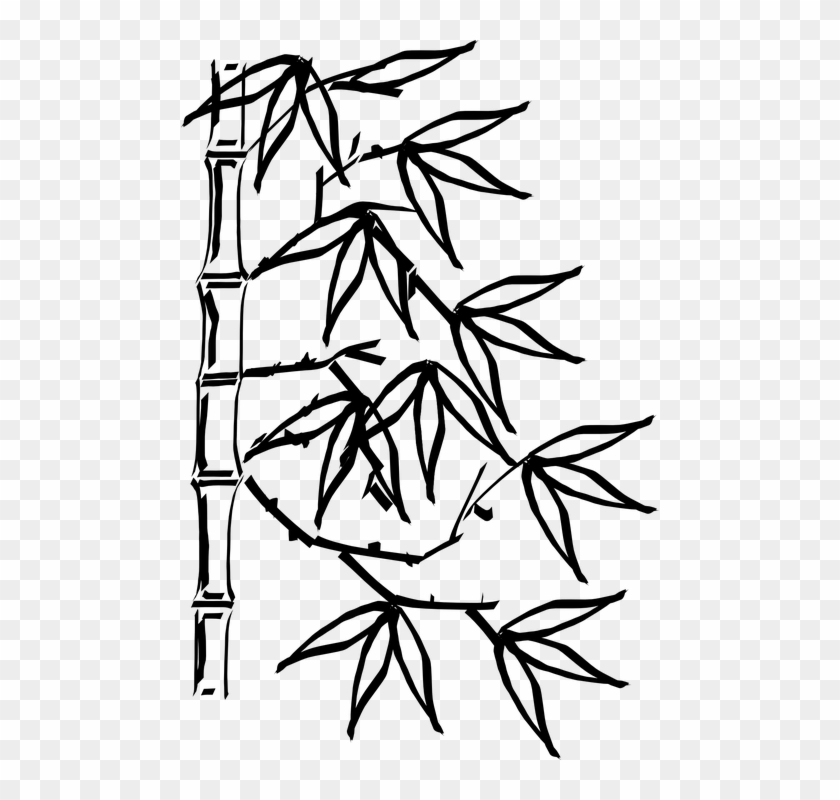 Drawn Bamboo Bamboo Plant - Bamboo Leaves Clipart Black And White #1323310