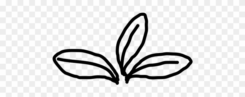 Outline Plant Leaf Transparent Png - Plants #1323320