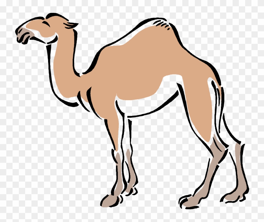 camels in desert clipart