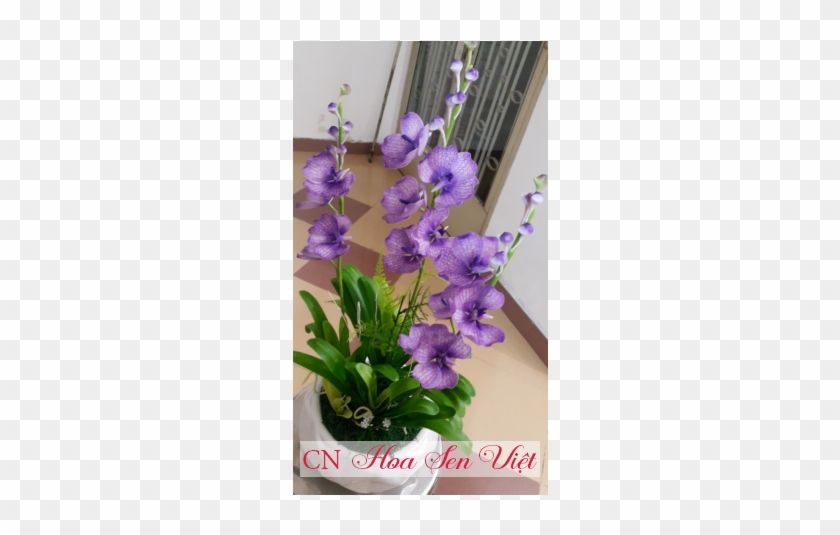 Trudelia Căn Cứ Vào Những Cây Mọc Ở Hy Mã Lạp Sơn, - Artificial Flower #1323652