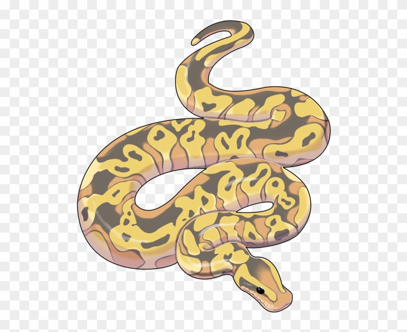 Ball Python Clipart Python Snake - Snakes Art Python #1323737