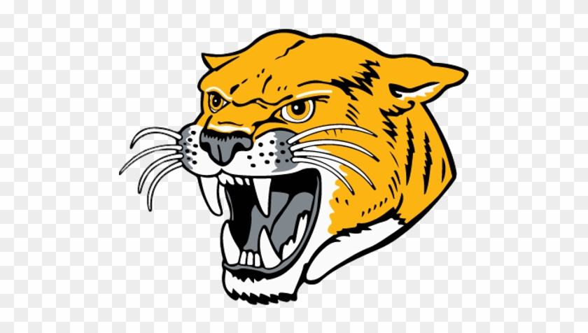 School Logo Image - Illini Central Cougars #1323771