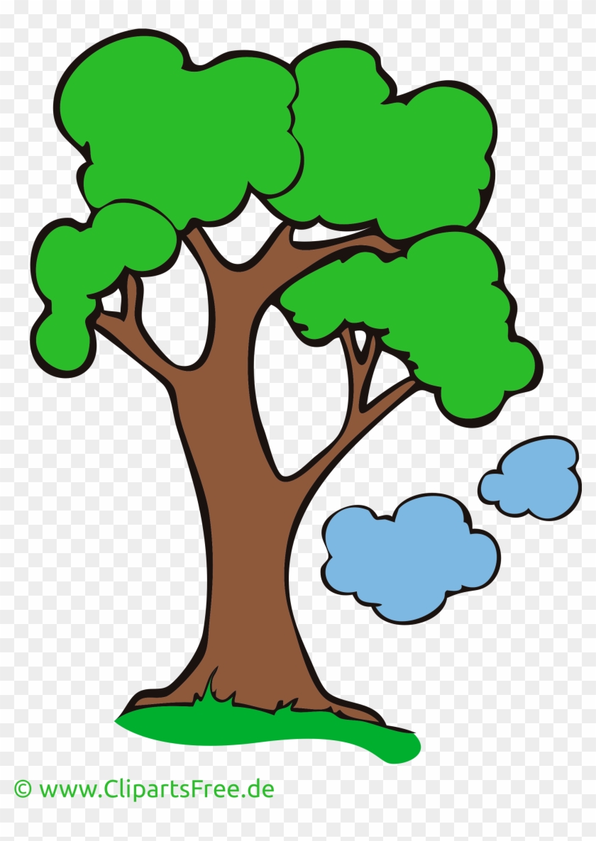 Baum Cartoon Free Transparent Png Clipart Images Download