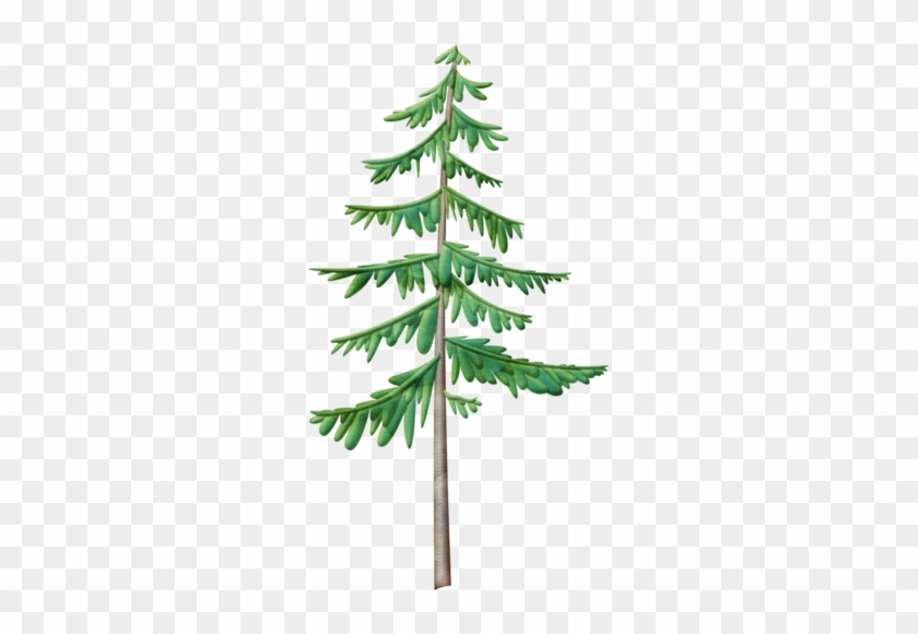 Pine Tree - Camp Tree Clip Art #1323929
