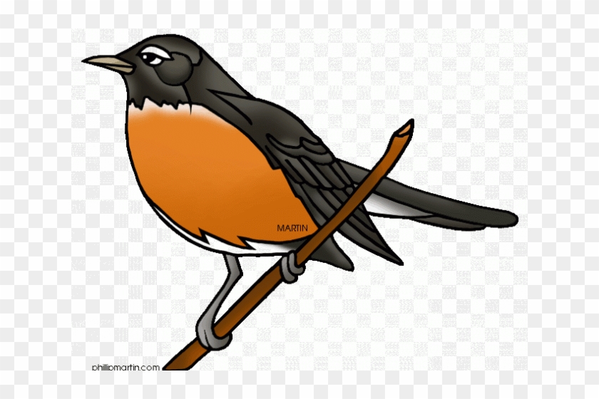 Robin Clipart Robin Egg - American Robin Robin Clip Art #1323967