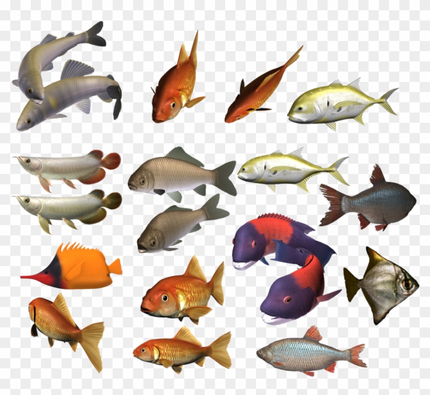 Marine Fish Clipart Colour Fish - School Of Fish Transparent #1324006