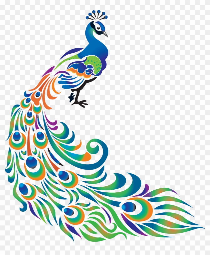 Drawing Peafowl Art Clip Art - Peacock Images For Drawing #1324190