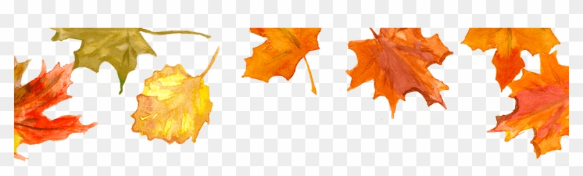 Fall Leaves - Autumn Leaf Color #1324362
