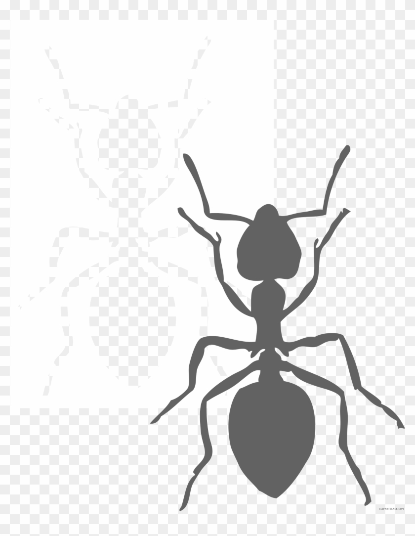 Black And White Ants Animal Free Black White Clipart - Ant Clip Art Black And White Ant #1324371
