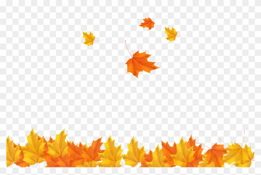 Autumn Leaf Clip Art - Transparent Background Maple Leaves Png #1324432