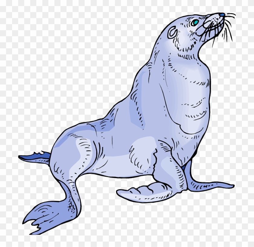 Free Sea Lion Clipart Rh Wildlife Animals Com Octopus - Sea Lion Clipart Png #1324501