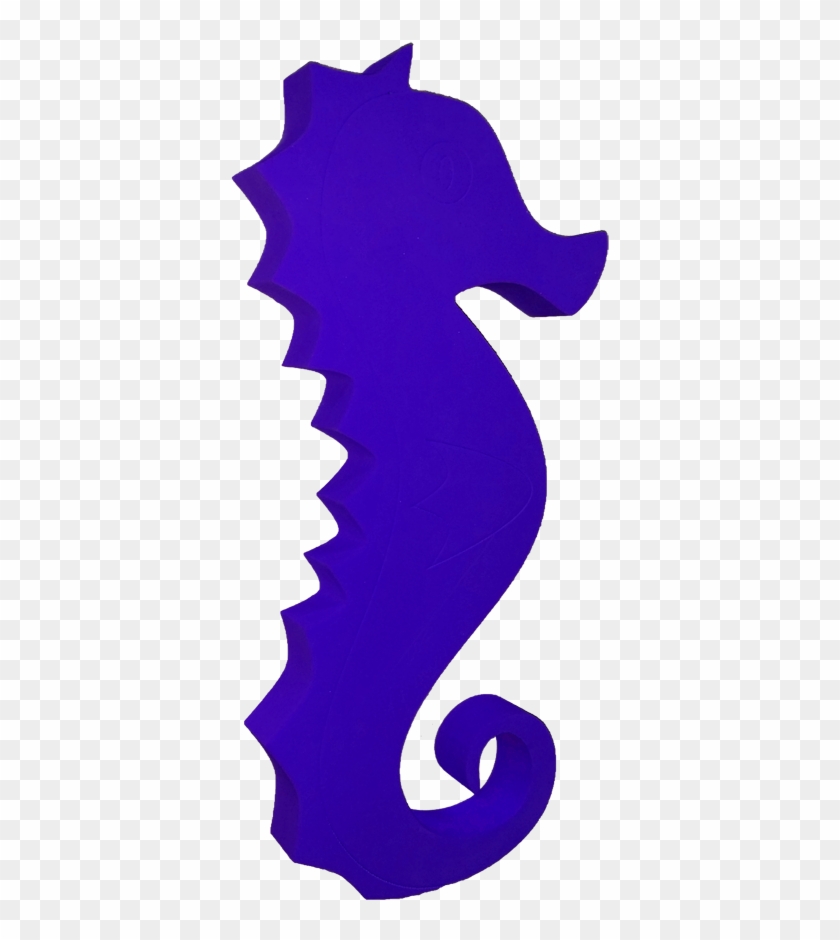 Northern Seahorse #1324558