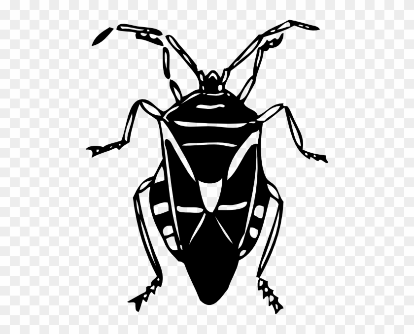 Classy Idea Insect Clipart Black And White Panda Free - Insekten Clipart #1324630