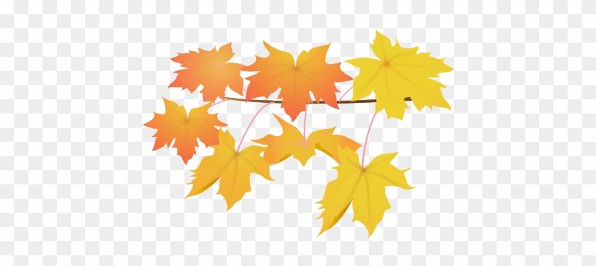 Leaves Yellow - Maple Leaf #1324697