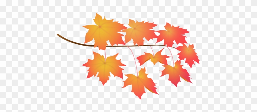 Leaves Red - Maple Leaf #1324701