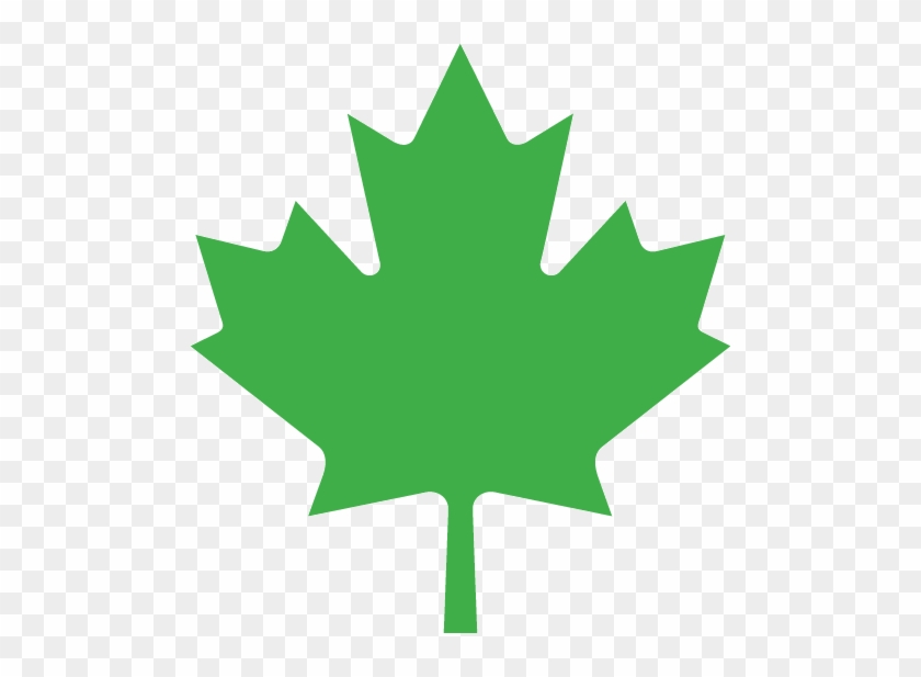 Green Maple Leaf - Leaf On The Canadian Flag #1324708