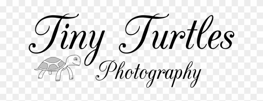 Tiny Brother Snuggles - Priceless Treasure By Melody Anne Unabridged 2016 Cd #1324743