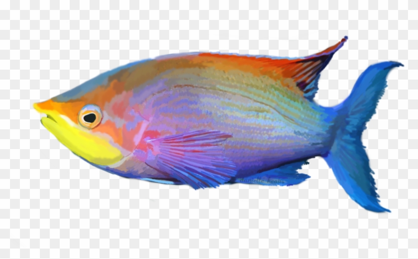 Tropical Fish By Grafixgirlireland On Deviantart - Tropical Fish Png #1324786