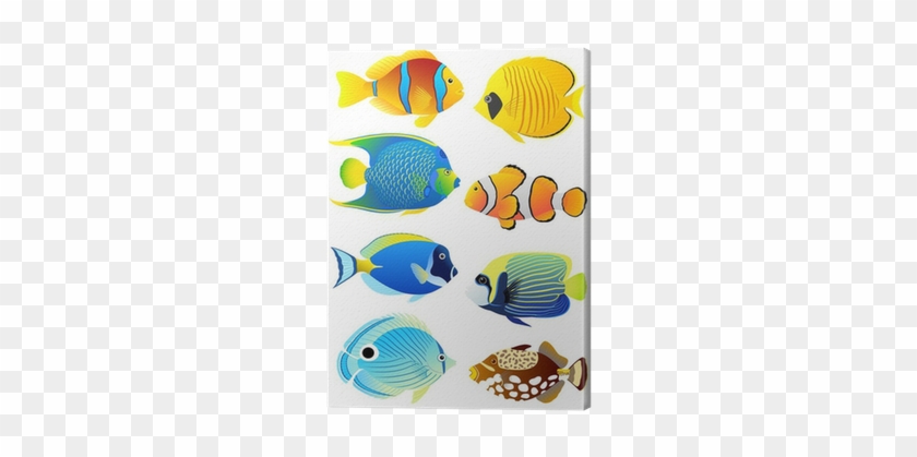 Coral Reef Fish Clipart #1324791