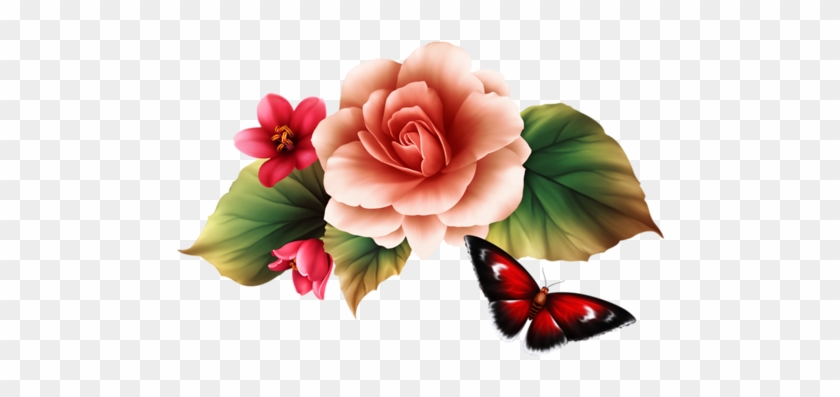 Album - Clip Art #1325129