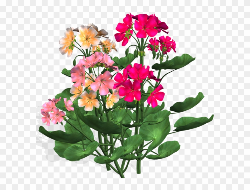 Flower Clipartblossoms - Flower #1325134