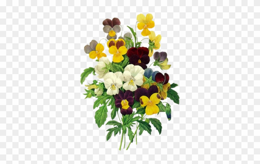 Kwiaty - - Pierre Joseph Redoute Pansies #1325137