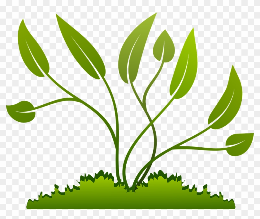 Free Nature Clipart 27, Buy Clip Art - Leaf Growing #1325181