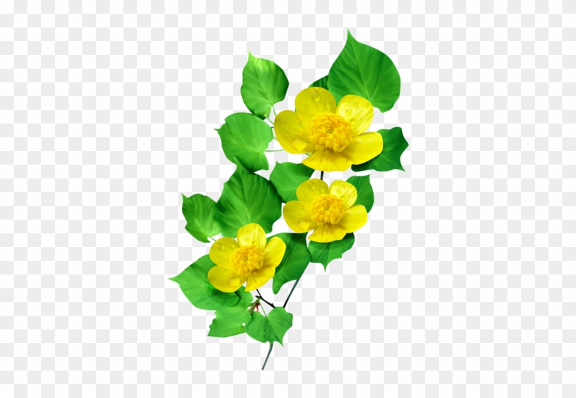 Gify,animacja,obrazki Png - Wiosna-kwiaty - Wiosenne Kwiaty Png #1325186