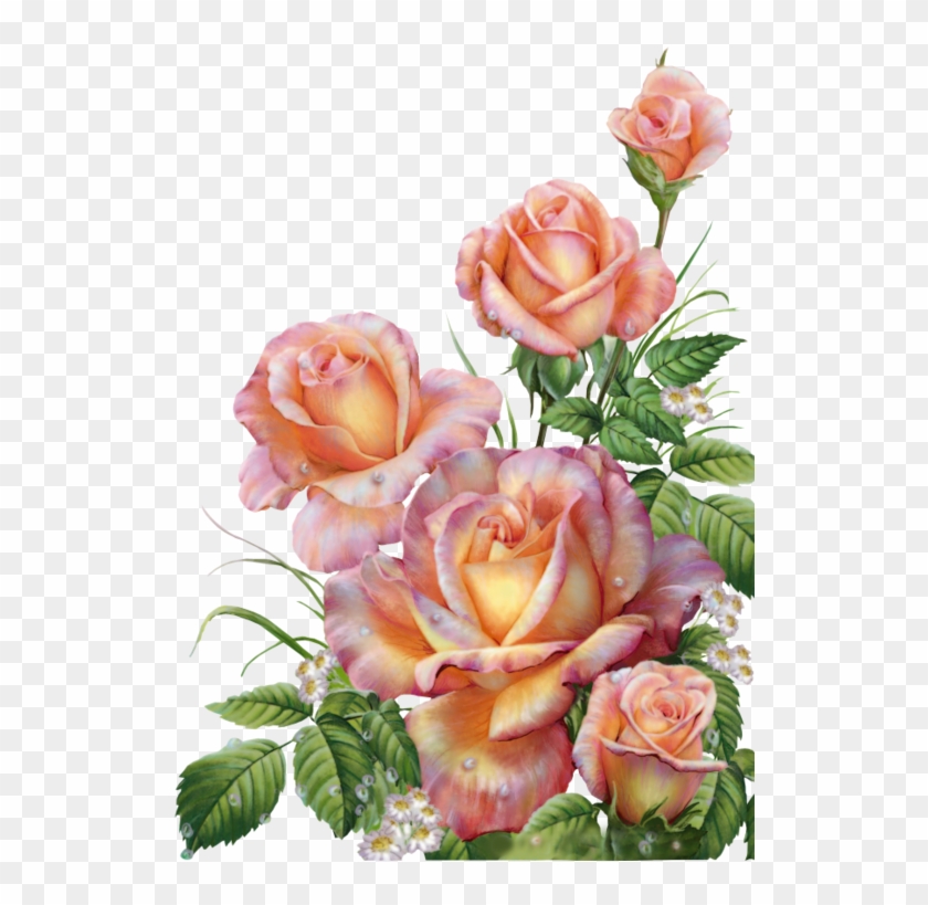 Roses,pink,roze,rosa, - Поздравления С Днем Рождения Алина #1325191