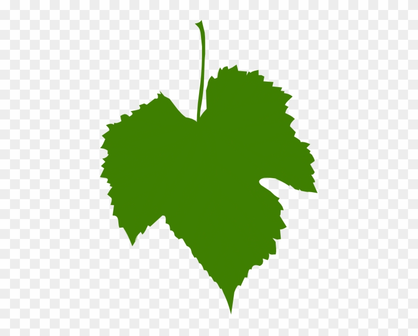 How To Set Use Grape Leaf Green Svg Vector - Grape Leaf Png #1325274