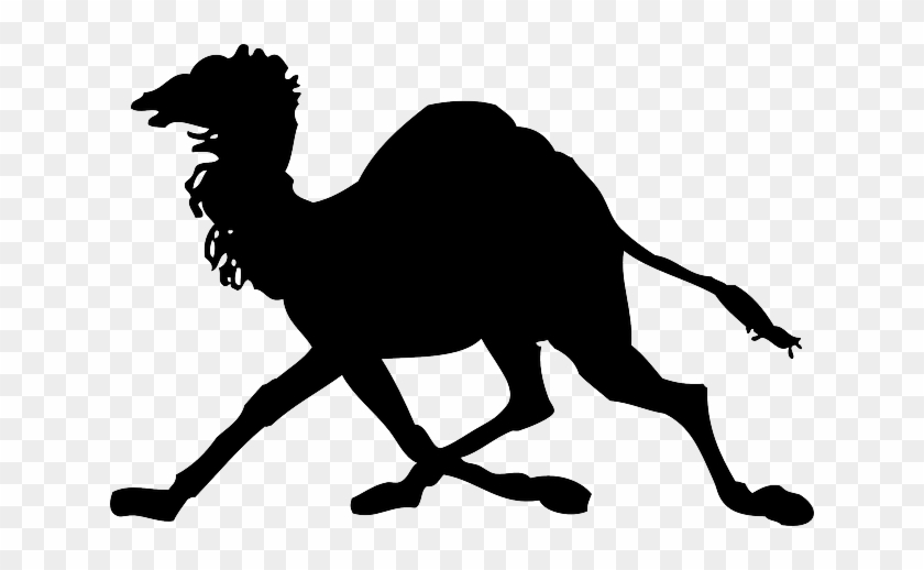 Camel, Silhouette, Dromedary, Cartoon, Horse, Running - Camel Clip Art #1325312