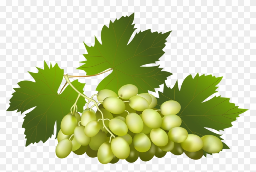 Vegetables, Clip Art, Veggies, Illustrations - Grapes Vector #1325358