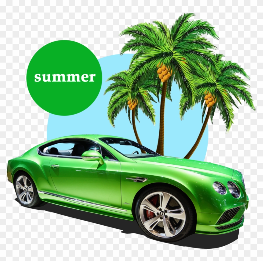Free Summer Palm Tree Png - Summer Png #1325436