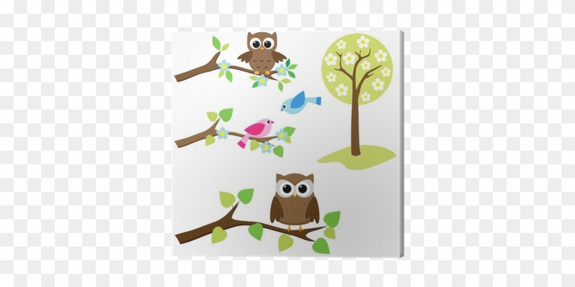 Blooming Tree And Branches With Sitting Owls And Birds - Colours Single Switch Front Plate #1325575