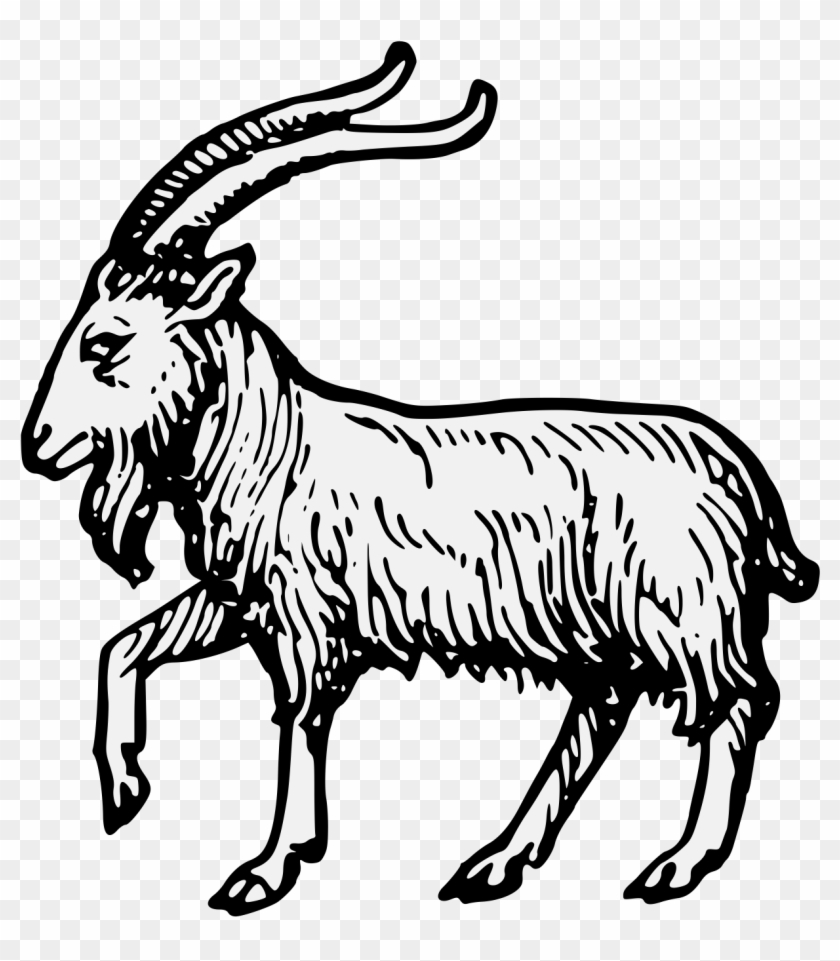 Pdf - Goat #1325649