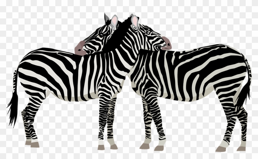 Animals Two By Two Clipart #1325661