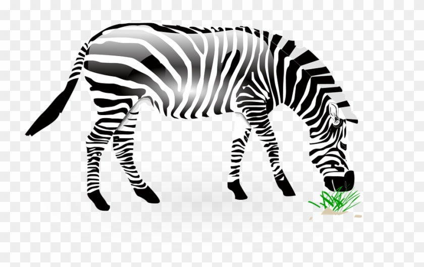 Cute Zebra Clipart 22, Buy Clip Art - ม้าลาย Png #1325663